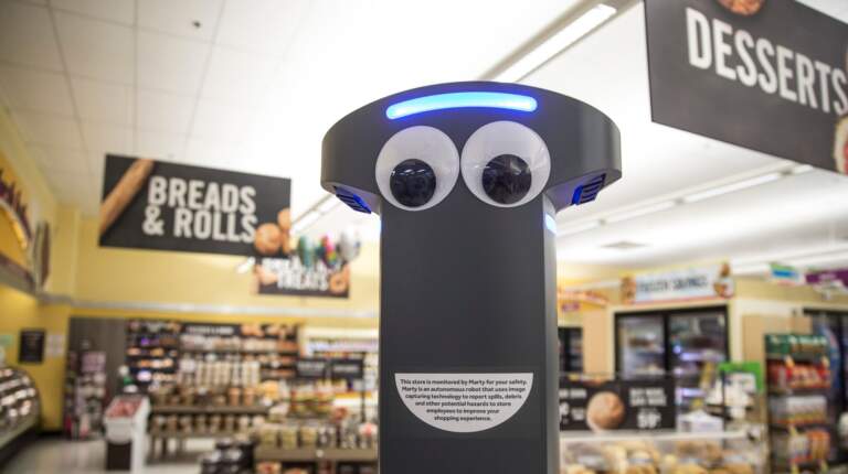 Robots in Grocery Stores