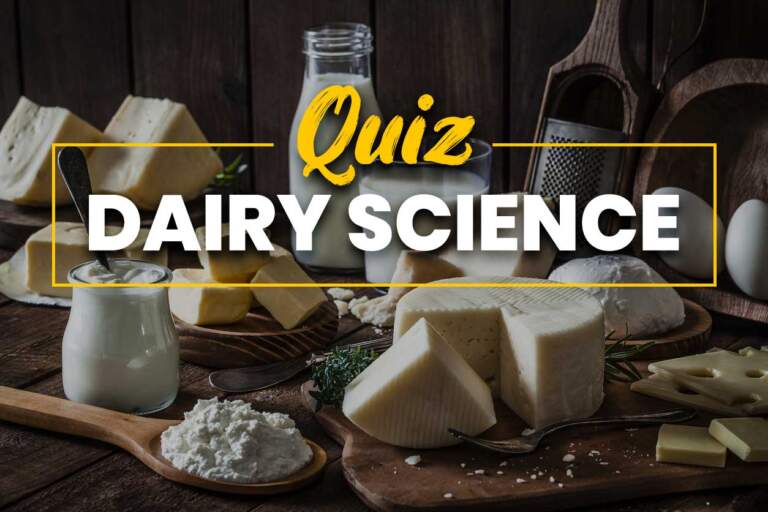 dairy science quiz with dairy products