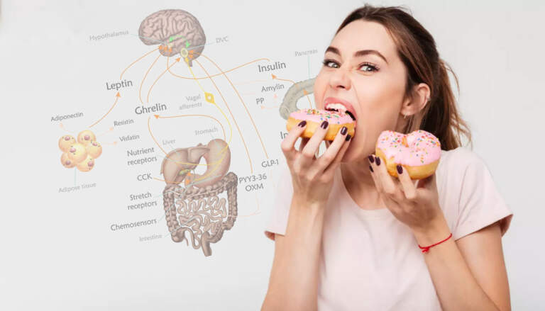 Hungry lady with appetite hormones illustration